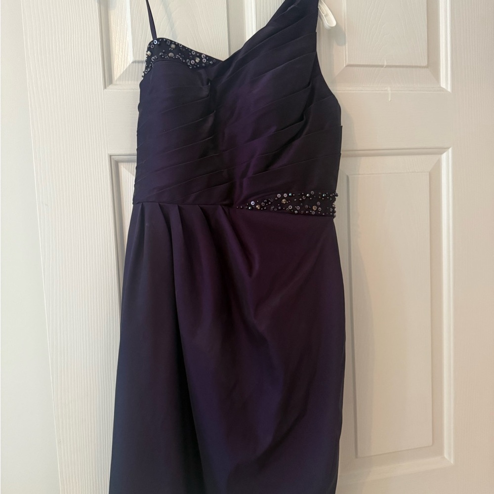 Elegant Purple Dress